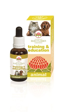 TRAINING & EDUCATION 30 ML - Pharmaleader