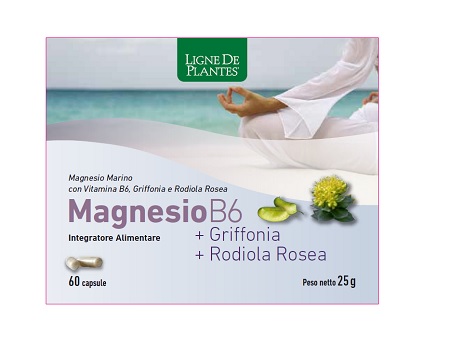 MAGNESIO B6 + GRIFFONIA + RODIOLA 60 CAPSULE - Pharmaleader