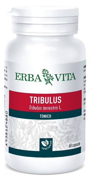 TRIBULUS TERRESTRIS 60 CAPSULE 500 MG - Pharmaleader