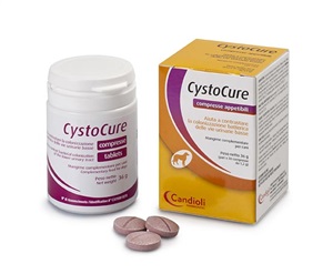 CYSTOCURE FORTE BARATTOLO 30 COMPRESSE - Pharmaleader