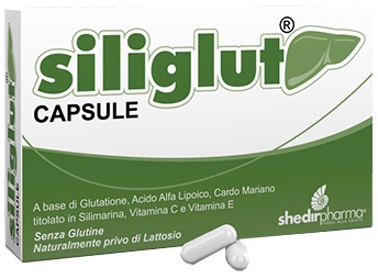 SILIGLUT 20 CAPSULE - Pharmaleader