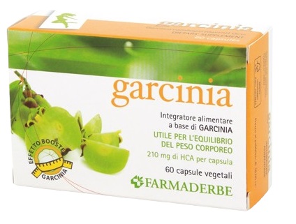 GARCINIA 60 CAPSULE 34,2 G - Pharmaleader