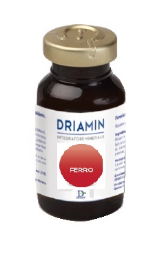 DRIAMIN FERRO 15 ML - Pharmaleader