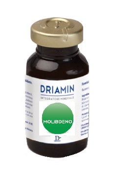 DRIAMIN MOLIBDENO 15 ML - Pharmaleader