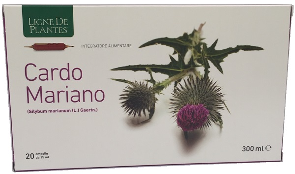 CARDO MARIANO 20 AMPOLLE BEVIBILI DA 15 ML - Pharmaleader