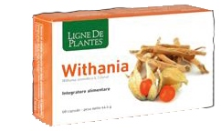 WITHANIA 60 CAPSULE - Pharmaleader