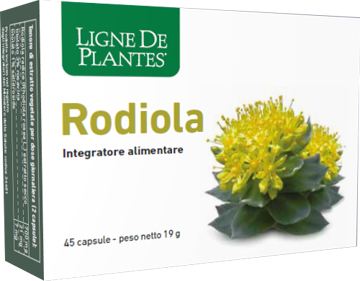 RODIOLA 45 CAPSULE - Pharmaleader