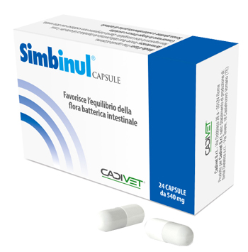 SIMBINUL 24 CAPSULE - Pharmaleader