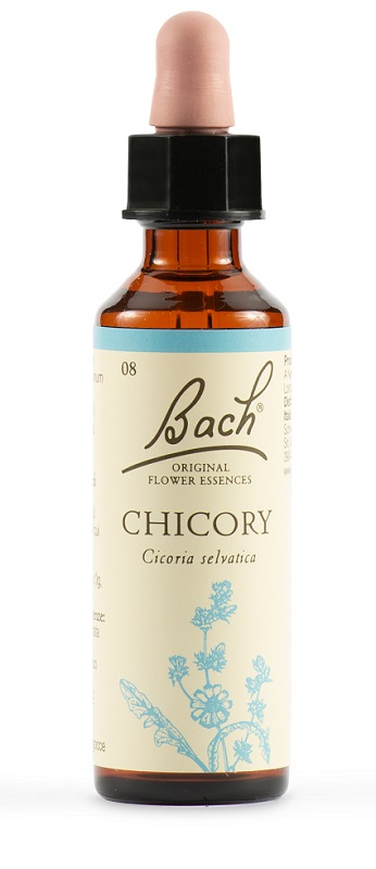 CHICORY BACH ORIG 20 ML - Pharmaleader