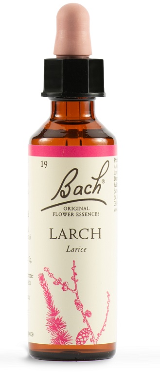 LARCH BACH ORIG 20 ML - Pharmaleader