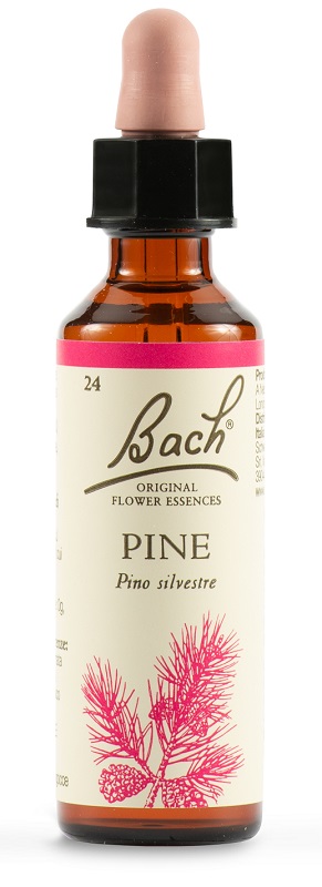 PINE BACH ORIG 20 ML - Pharmaleader