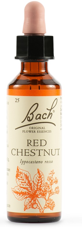 RED CHESTNUT BACH ORIG 20 ML - Pharmaleader
