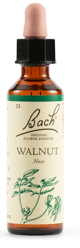 WALNUT BACH ORIG 20 ML - Pharmaleader