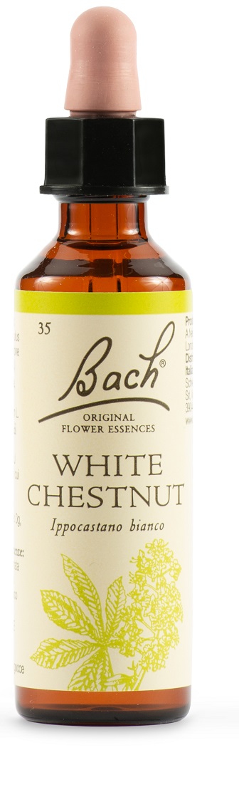 WHITE CHEST BACH ORIG 20 ML - Pharmaleader