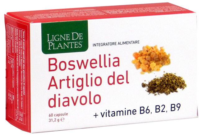 BOSWELLIA ARTIGLIO DIAVOLO VITAMINE B2 B6 B9 60 CAPSULE - Pharmaleader