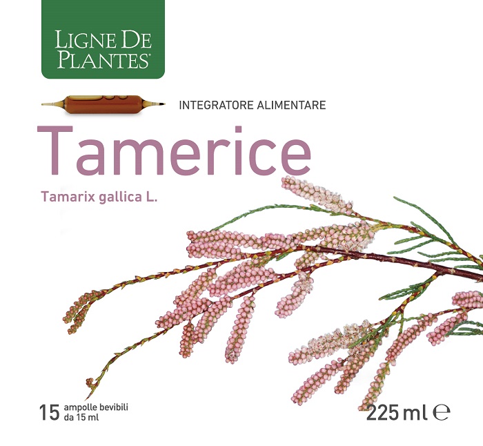 TAMERICE 15 AMPOLLE 15 ML - Pharmaleader