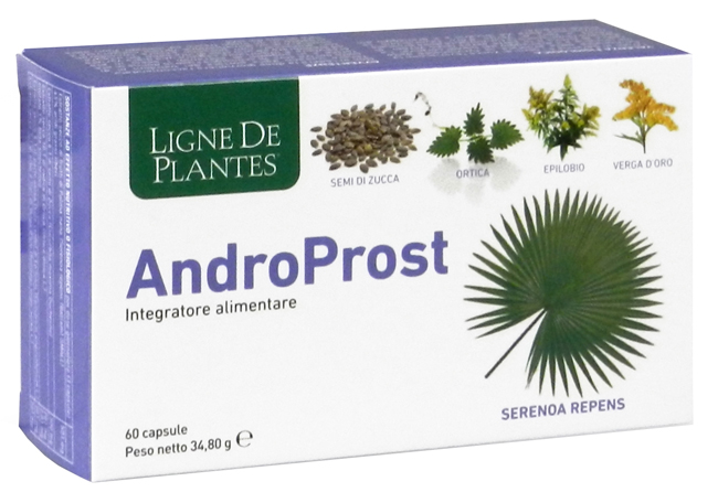 ANDROPROST 60 CAPSULE - Pharmaleader