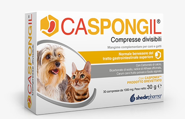 CASPONGIL 30 COMPRESSE DIVISIBILI - Pharmaleader