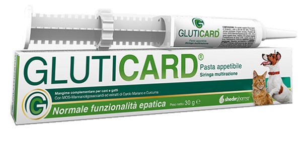 GLUTICARD PASTA 30 G - Pharmaleader