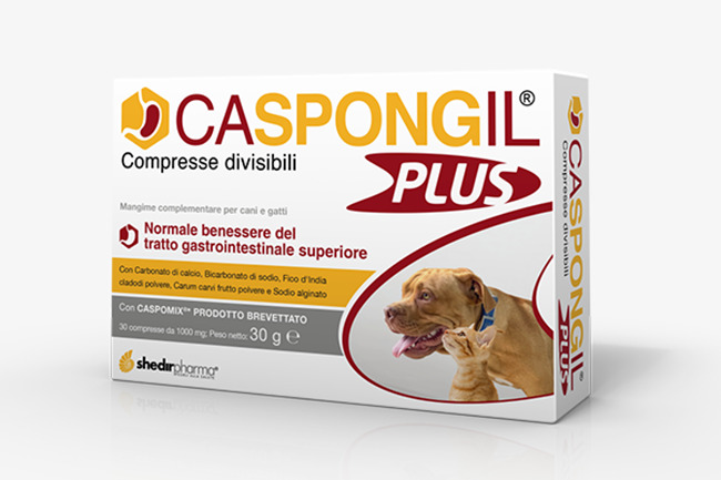 CASPONGIL PLUS 30 COMPRESSE - Pharmaleader