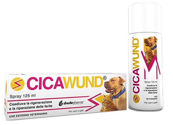 CICAWUND SPRAY 125 ML - Pharmaleader