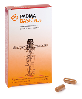 PADMA BASIC PLUS 40 CAPSULE - Pharmaleader