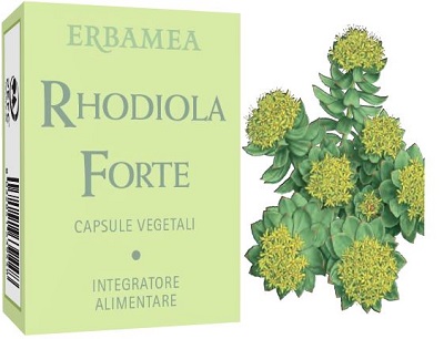 RHODIOLA FORTE 24 CAPSULE - Pharmaleader