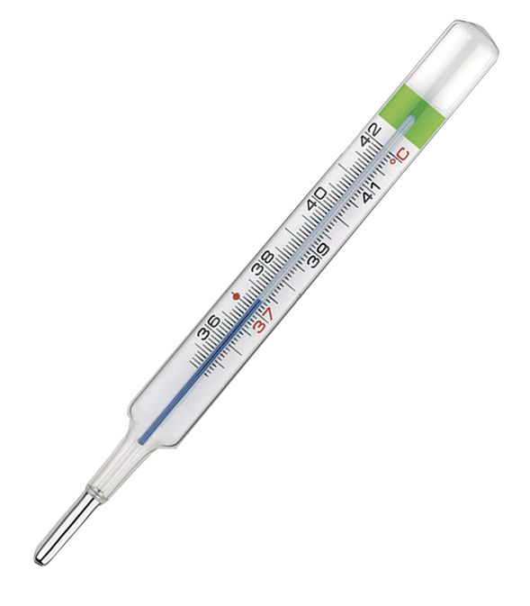 COLPHARMA THERMO GREEN PLUS TERMOMETRO - Pharmaleader