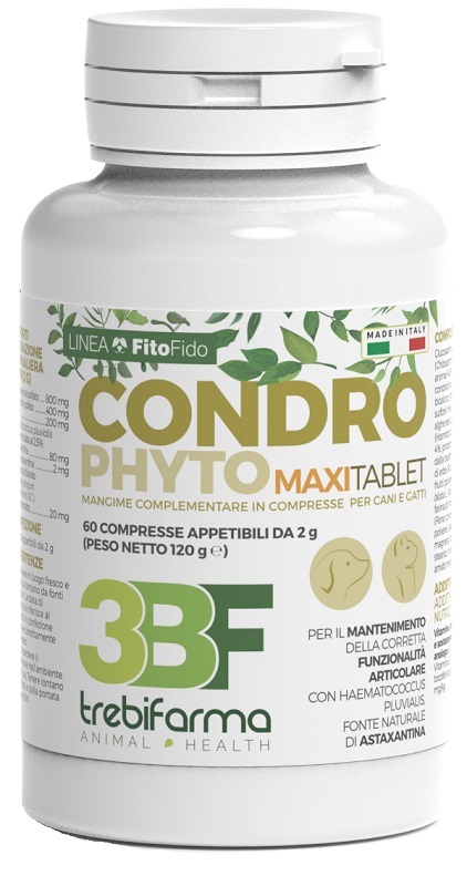 CONDROPHYTO 60 COMPRESSE 2 G - Pharmaleader