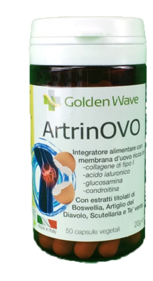 ARTRINOVO 50 CAPSULE - Pharmaleader