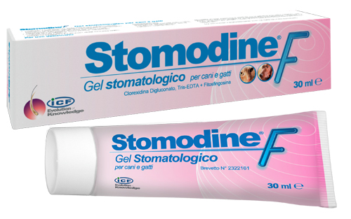 STOMODINE F 30 ML - Pharmaleader