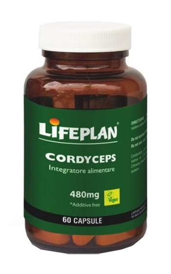 CORDYCEPS 60 CAPSULE - Pharmaleader