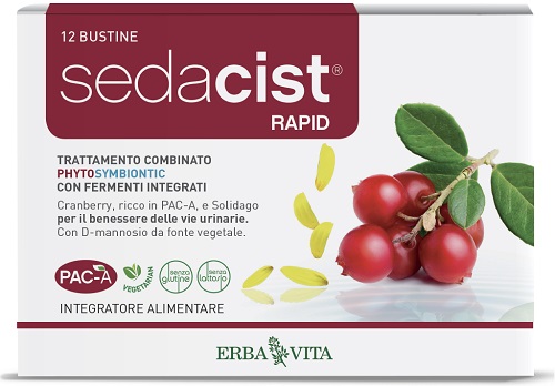 SEDACIST RAPID 6 + 6 BUSTINE - Pharmaleader