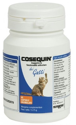 COSEQUIN GATTI 45 CAPSULE - Pharmaleader