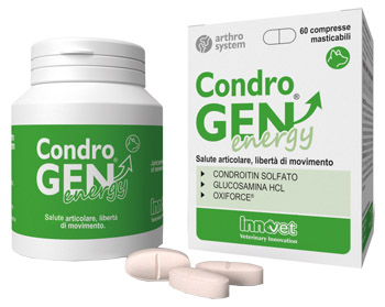 CONDROGEN ENERGY 60 COMPRESSE MASTICABILI - Pharmaleader