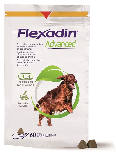 FLEXADIN ADVANCED CANE TUTTE LE TAGLIE 60 TAVOLETTE APPETIBILI - Pharmaleader