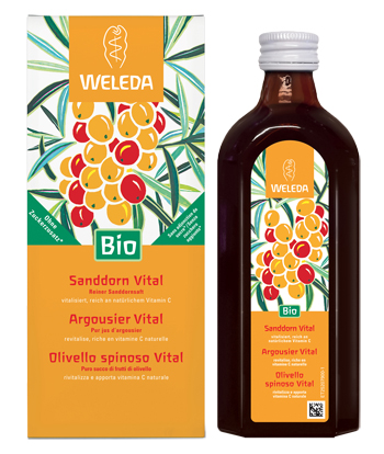 OLIVELLO SPINOSO VITAL SUCCO DI FRUTTA 250 ML - Pharmaleader