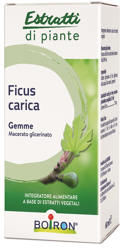 FICUS CARICA BOIRON MACERATO GLICERICO 60 ML - Pharmaleader