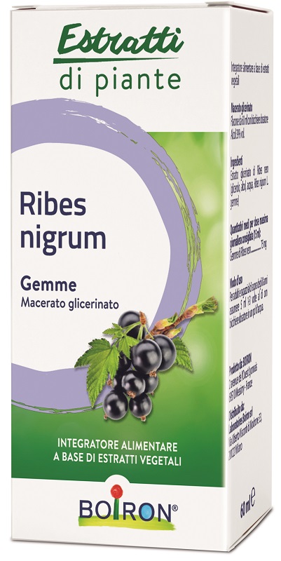RIBES NIGRUM BOIRON MACERATO GLICERICO 60 ML - Pharmaleader