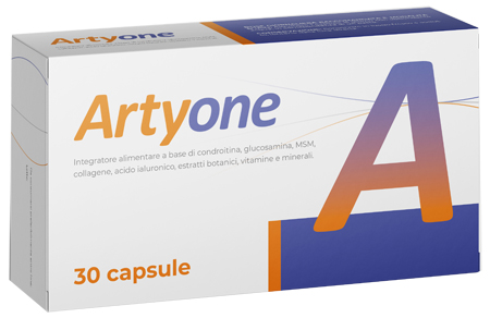 ARTYONE 30 CAPSULE - Pharmaleader