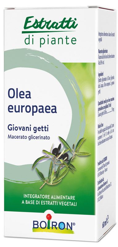 OLEA EUROPAEA BOIRON MACERATO GLICERICO 60 ML - Pharmaleader