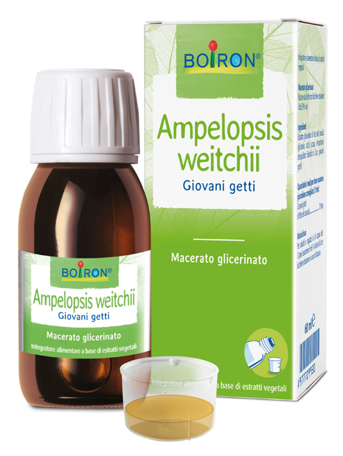 AMPELOPSIS WESTRATTO IDROALCOLICO BOIRON MACERATO GLICERICO 60 ML - Pharmaleader