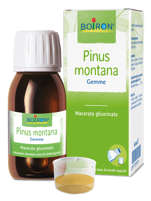 PINUS MONTANA BOIRON MACERATO GLICERICO 60 ML - Pharmaleader