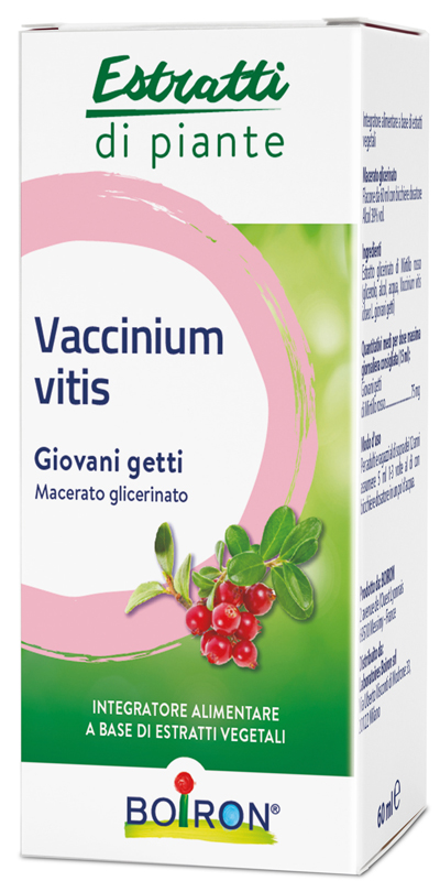 VACCINIUM VITIS MACERATO GLICERICO 60 ML - Pharmaleader