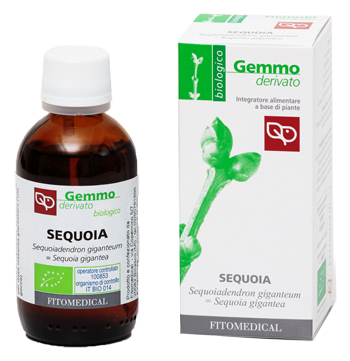 SEQUOIA MACERATO GLICERICO 50 ML BIO - Pharmaleader
