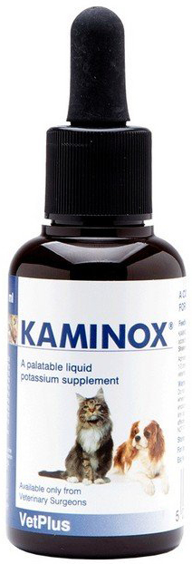 KAMINOX SCIROPPO 60 ML - Pharmaleader