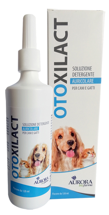 OTOXILACT DETERGENTE AURICOLARE - Pharmaleader