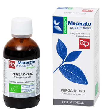 VERGA D'ORO TINTURA MADRE 50 ML BIO - Pharmaleader