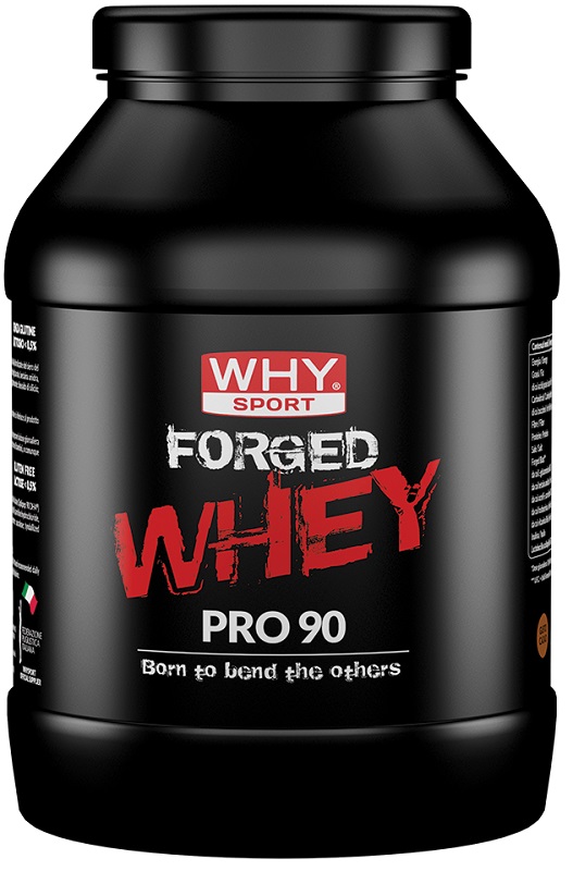 WHYSPORT FORGED WHEY CACAO 900 G - Pharmaleader