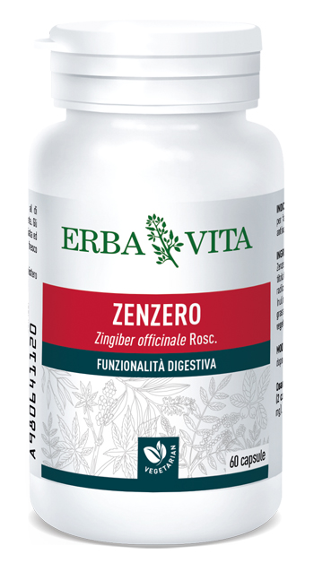 ZENZERO 60 CAPSULE - Pharmaleader
